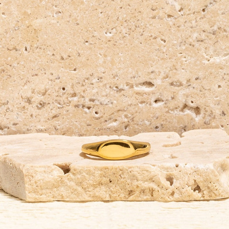 Albie Signet Ring-Rings-LuckyLeti Jewelry-6-Gold-Lucky Leti Jewelry