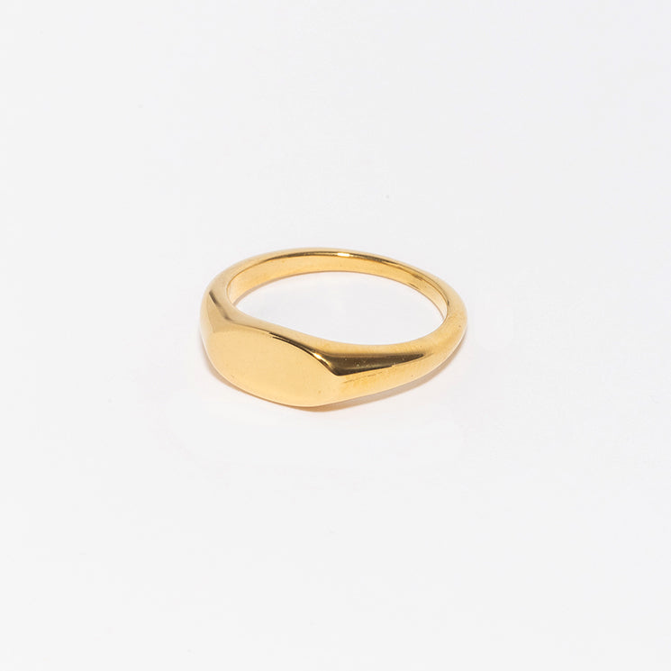 Albie Signet Ring-Rings-LuckyLeti Jewelry-6-Gold-Lucky Leti Jewelry