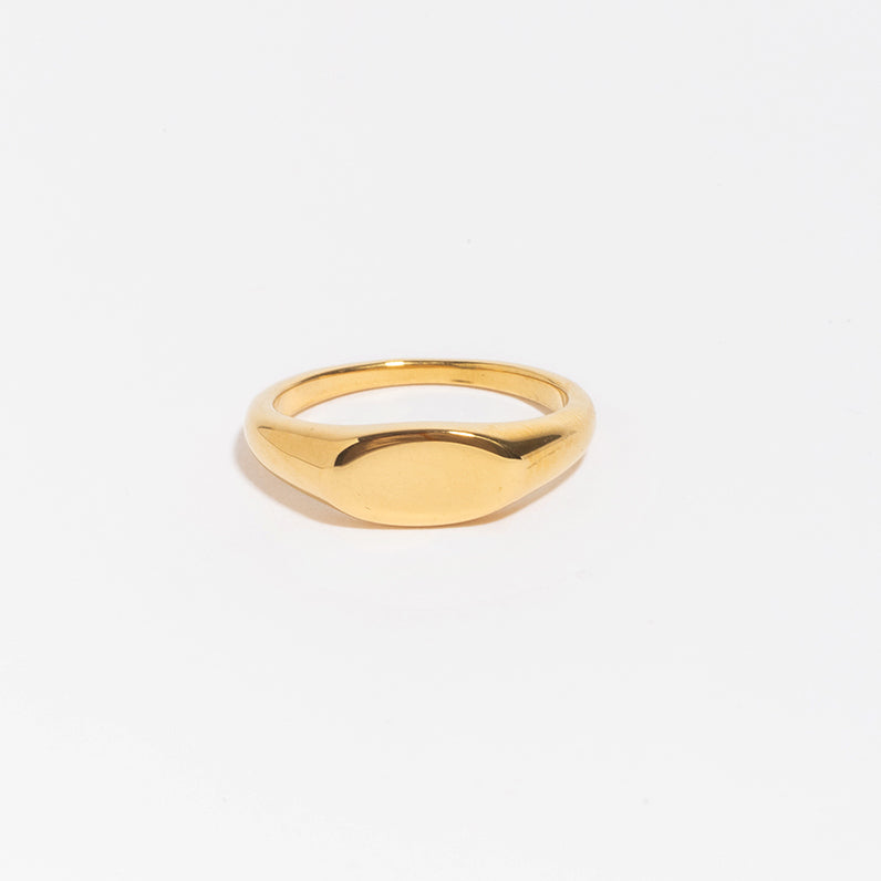 Albie Signet Ring-Rings-LuckyLeti Jewelry-6-Gold-Lucky Leti Jewelry