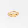 Albie Signet Ring-Rings-LuckyLeti Jewelry-6-Gold-Lucky Leti Jewelry